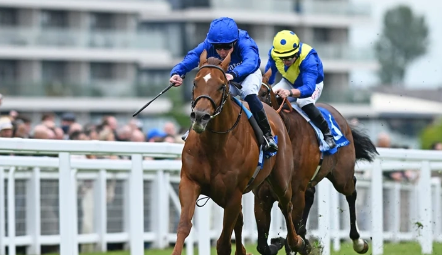 How to Use Speed Maps: A Complete Guide for Modern Punters