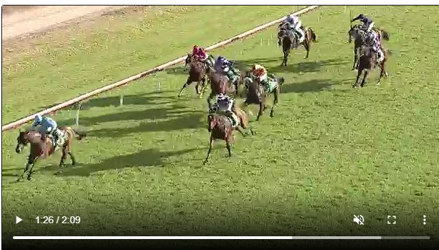 Simply Sacred win defines the ruthless nature of life on the punt