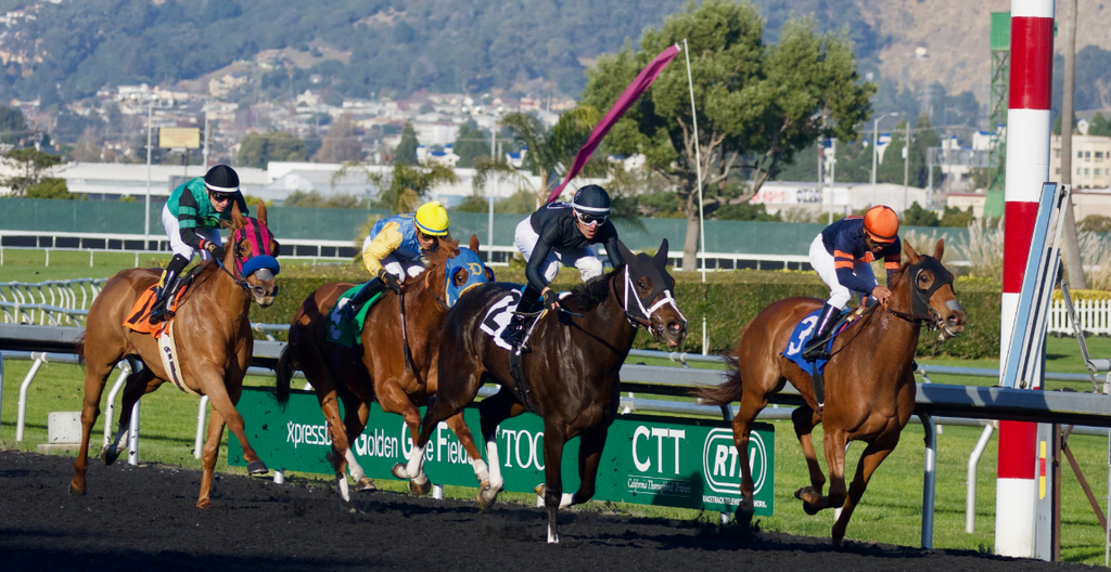 How Do Deductions Work in Horse Racing?