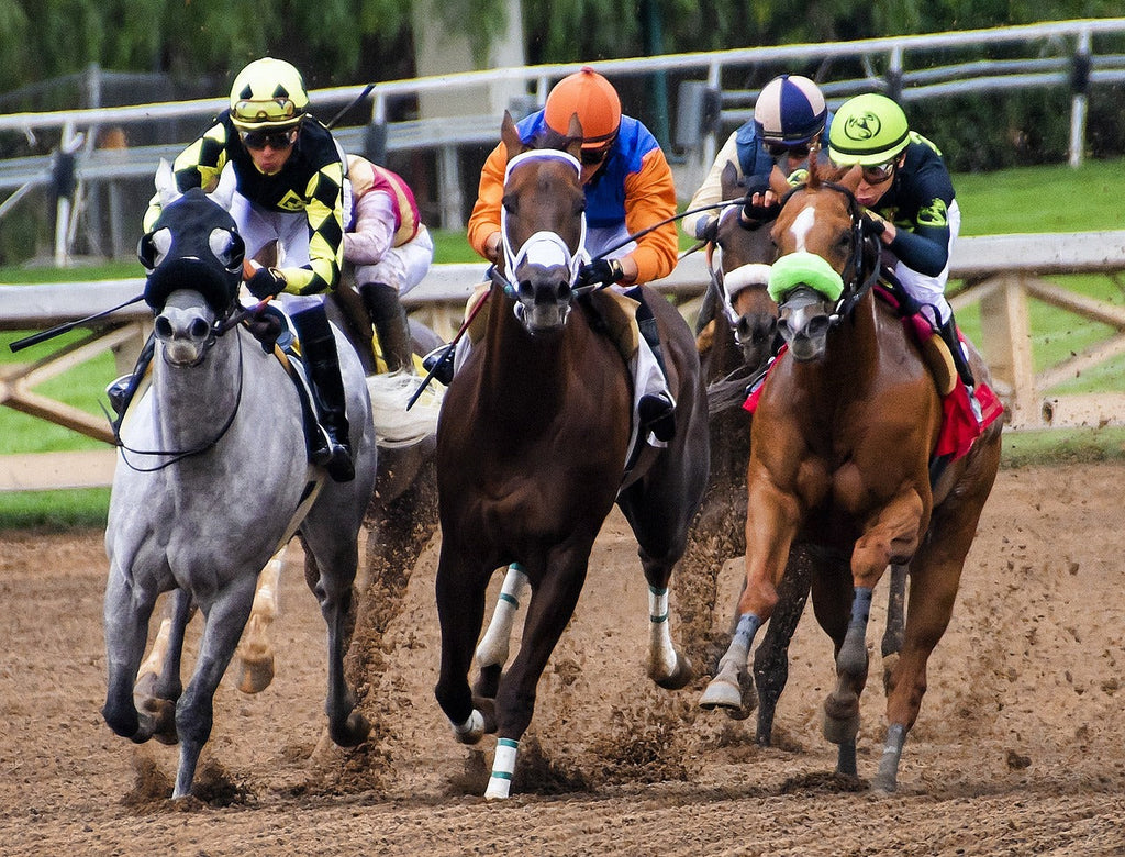 Understanding Track Bias in Horse Racing: A Complete Guide for Bettors
