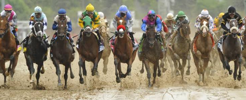 Understanding Pace in Horse Racing and Why it Matters
