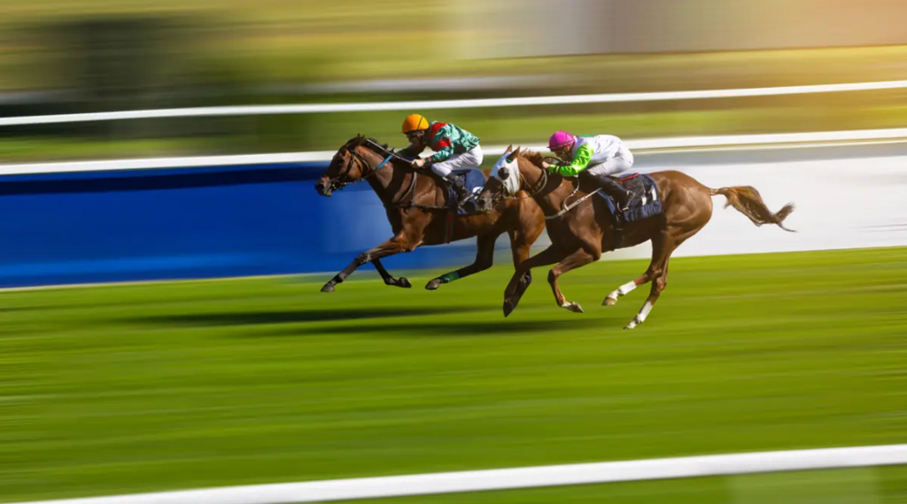 Understanding Place Betting: How It Works and When to Use It