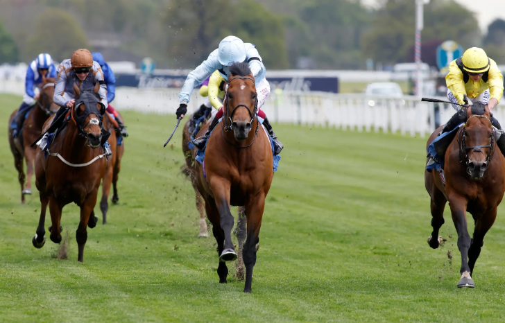 What Are Racing Systems? A Complete Guide for Beginners
