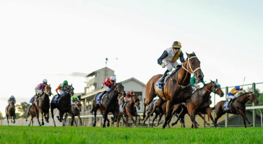 Rail TRUE @ Hawkesbury