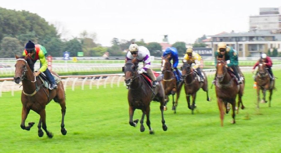 Ranters raid Royal Randwick