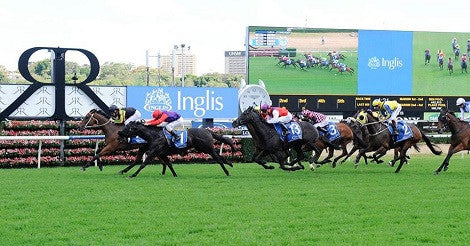 Oaks/Cup preview from 2016