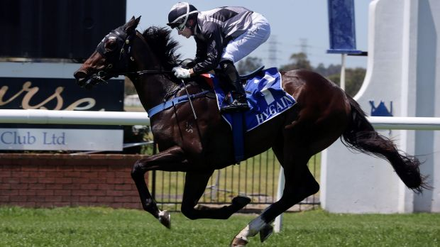Fillies v Colts - The early season question