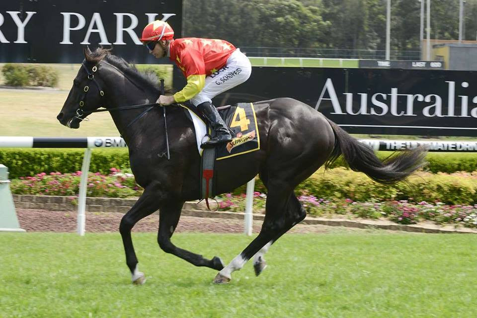 Gordo takes aim at Saturday's 2yo Feature