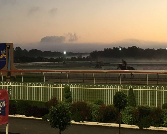 The Track Watering Debate - One Passionate Viewer's Opinion