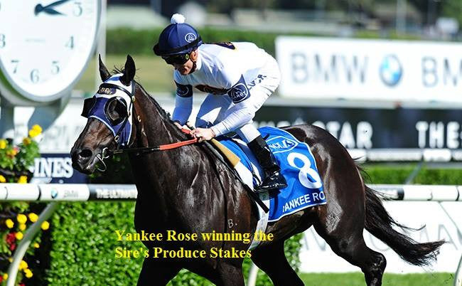 The SIRES' revisited