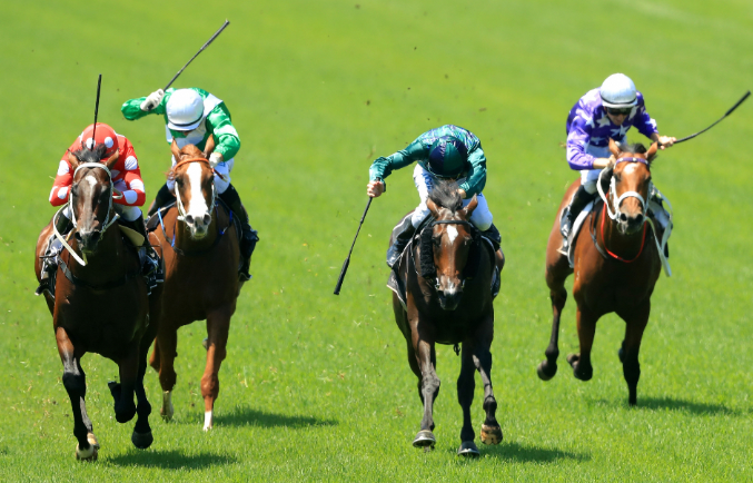 What Are Horse Ratings? A Complete Guide for Betting Success