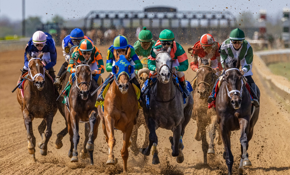 How to Analyze Horse Racing Pedigrees for Better Bets