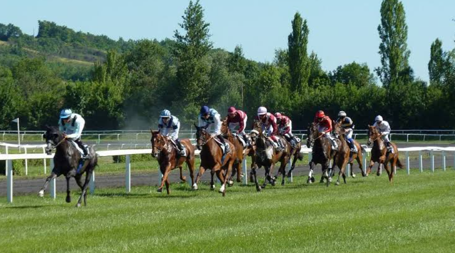 Lay Betting on Betfair: A Pro Punter's Guide