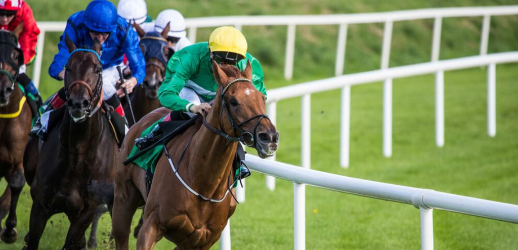 Six Most Profitable Horse Racing Tips for Australian Punters