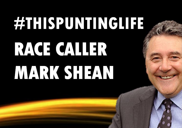This Punting Life - Mark Shean