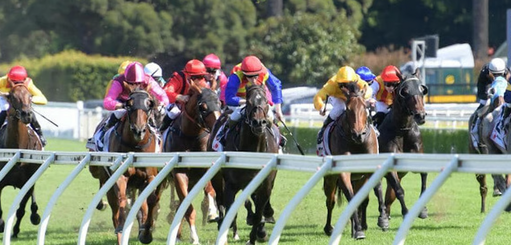 How Smart Punters Use SP Profiles