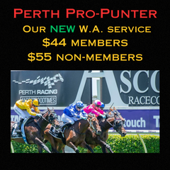 Perth Pro Punter weekly members resub